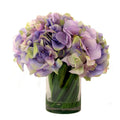 Hydrangea in Acrylic Water Vase W9973