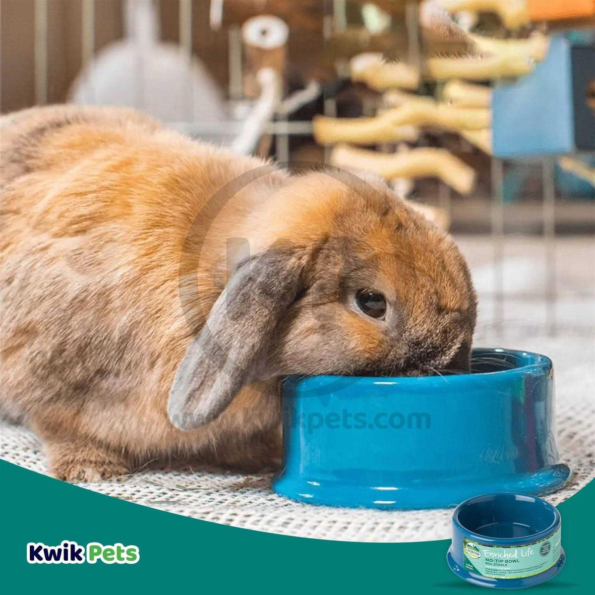 Small Animal Bowl L899195