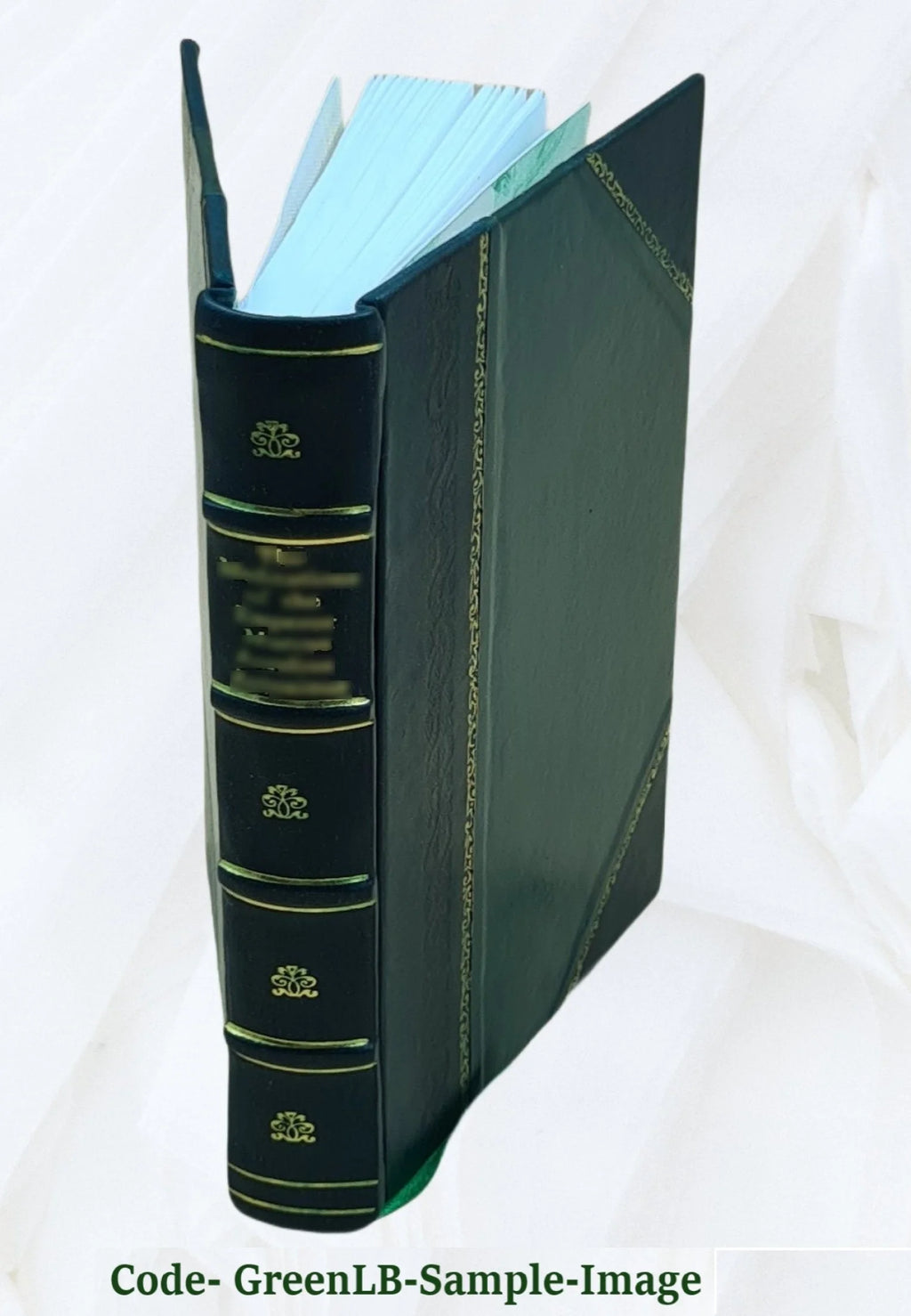 Leather Bound Book Z507
