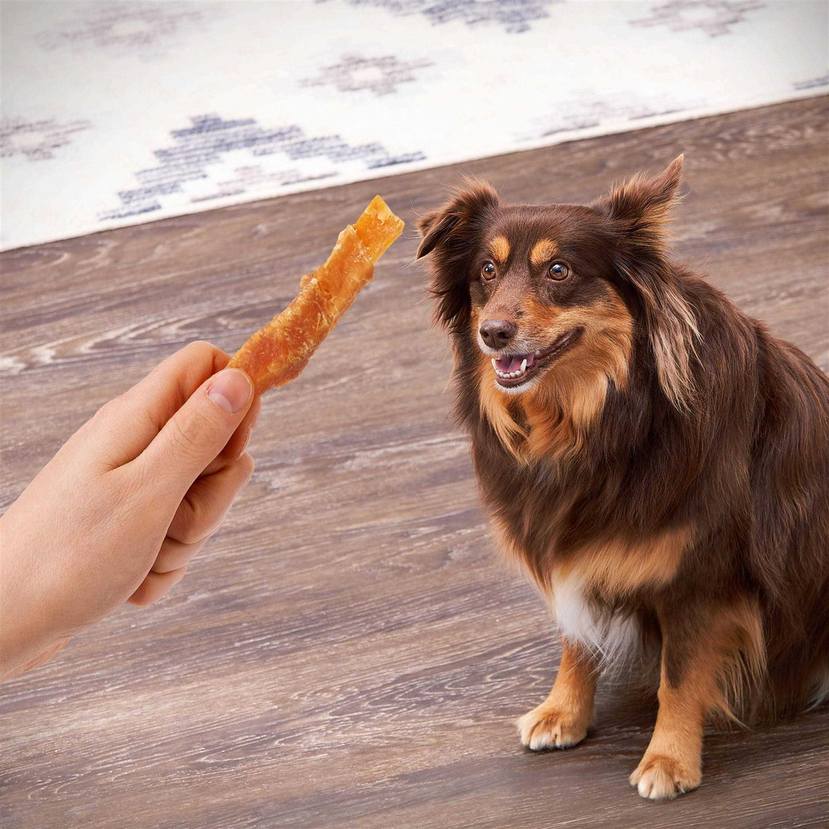 Sweet Potato Wrapped with Chicken Dog Treats M700