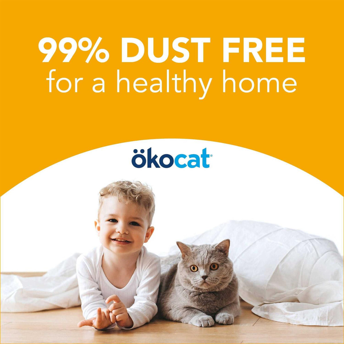 Unscented Clumping Wood Cat Litter Q5413