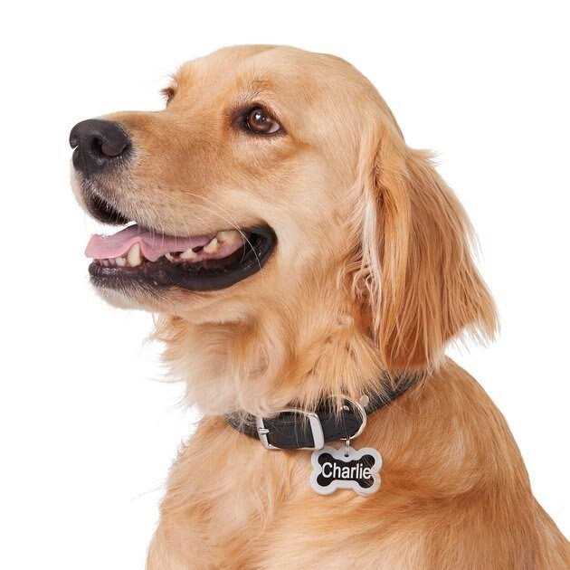 Anodized Aluminum Personalized Dog ID Tag H937399