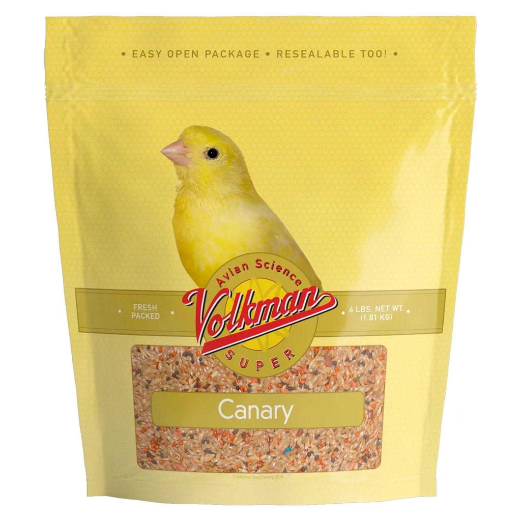 Canary Seed C234536