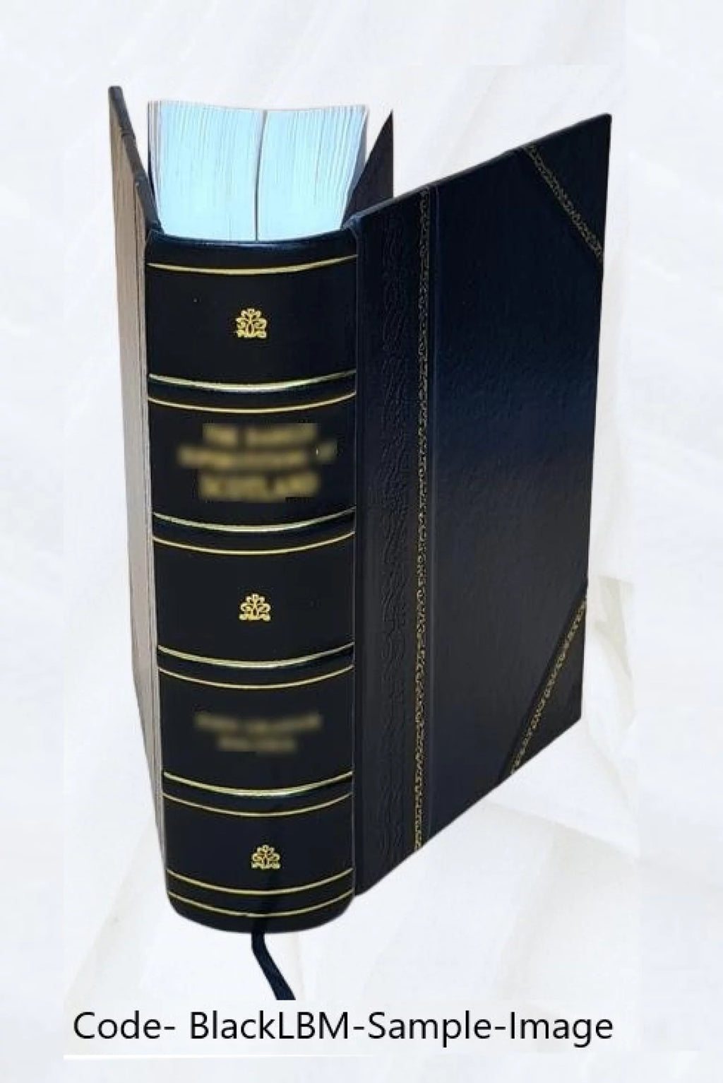 Leather Bound L507