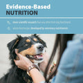 Low Fat Wet Dog Food I649072