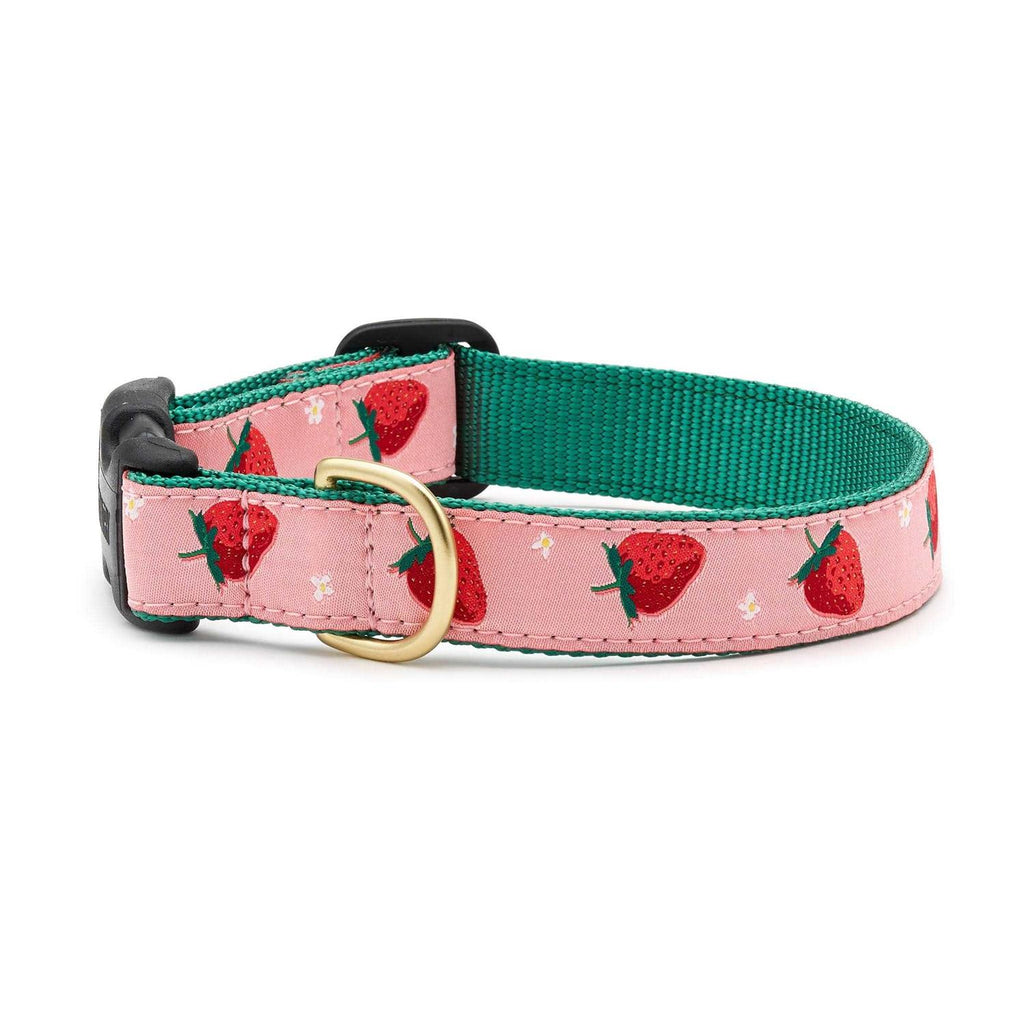 Strawberry Fields Dog Collar F8634