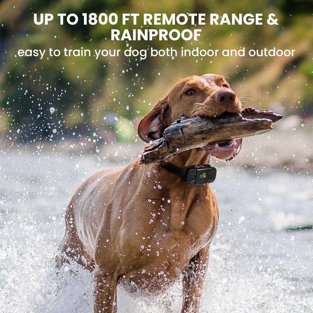 Dog Training Collar with Beep Vibration D362