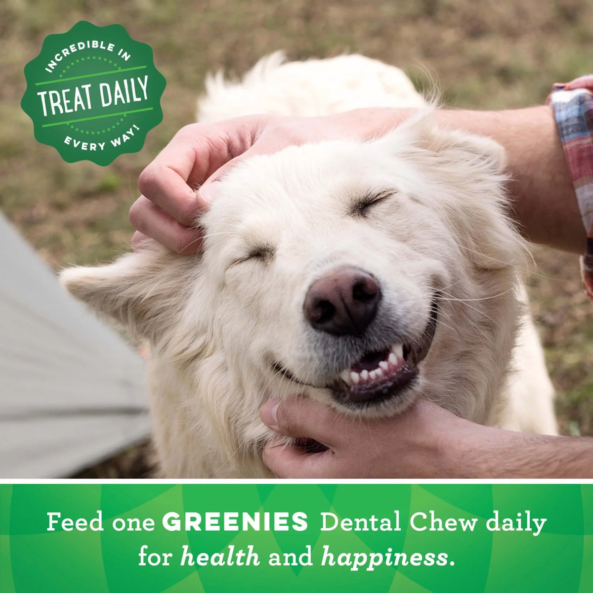 18 oz Pouch (4 Pack) Dental Treats for Dogs C920269