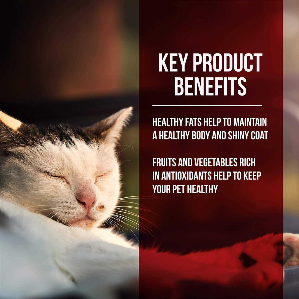Dry Cat Food Chicken Turkey U4337