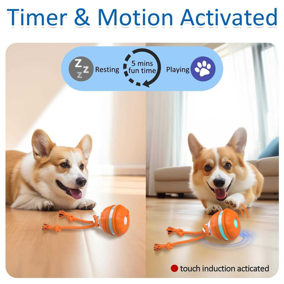 Interactive Dog Toys Motion Activated Dog Ball N313