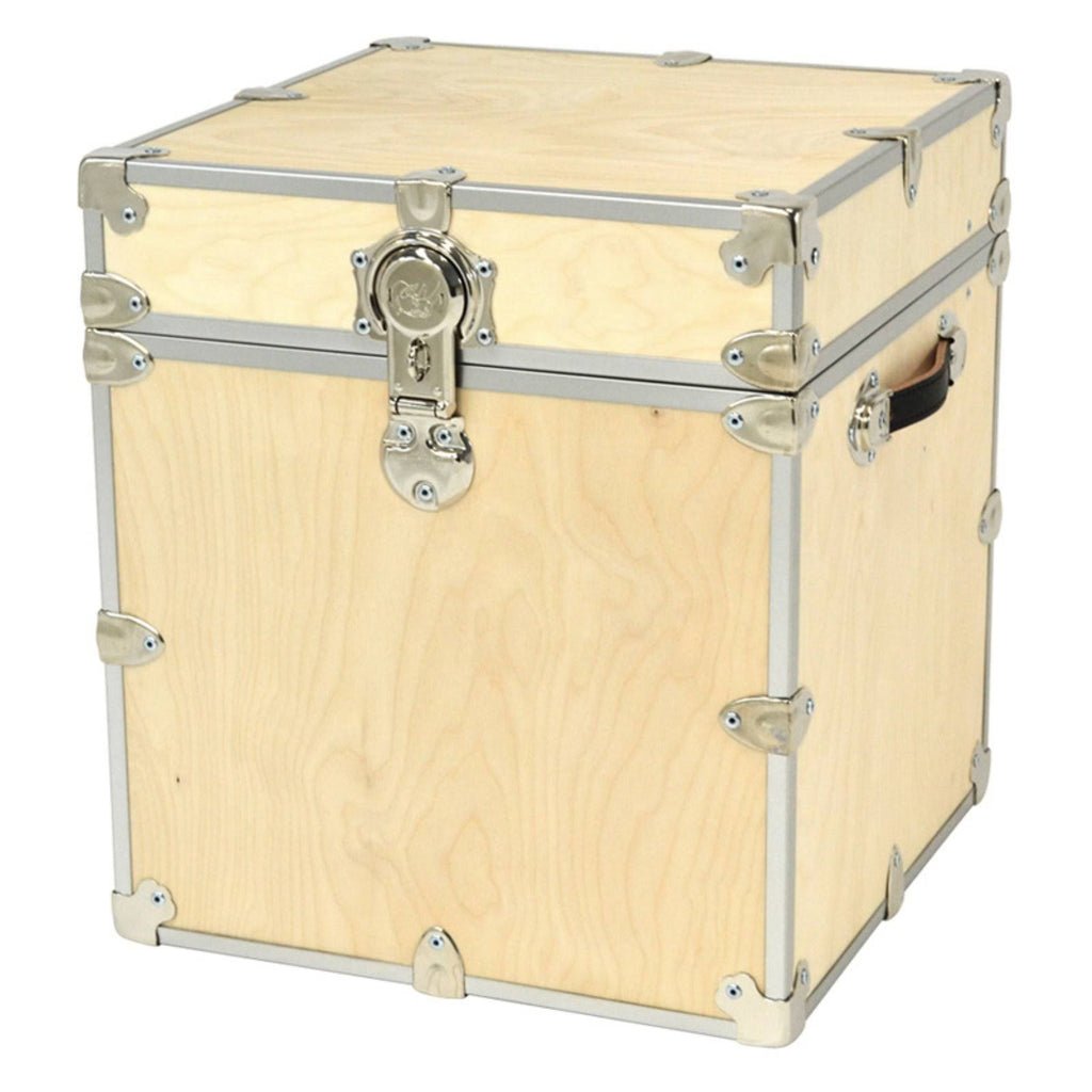 Naked Birch Storage Box Wood Trunk J924