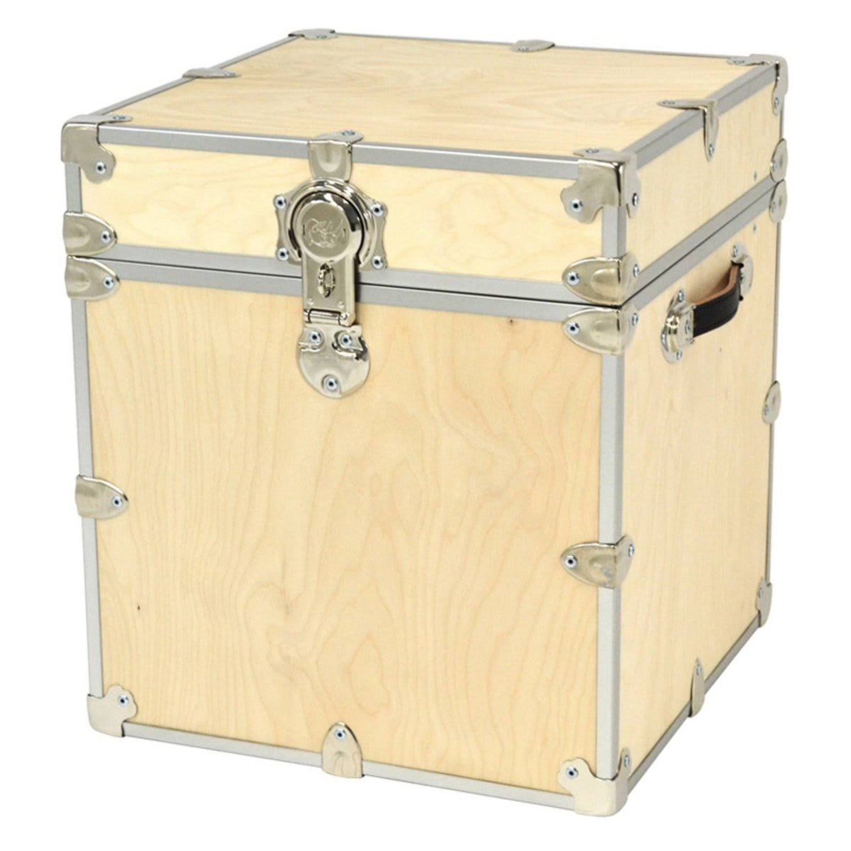 Naked Birch Storage Box Wood Trunk J924