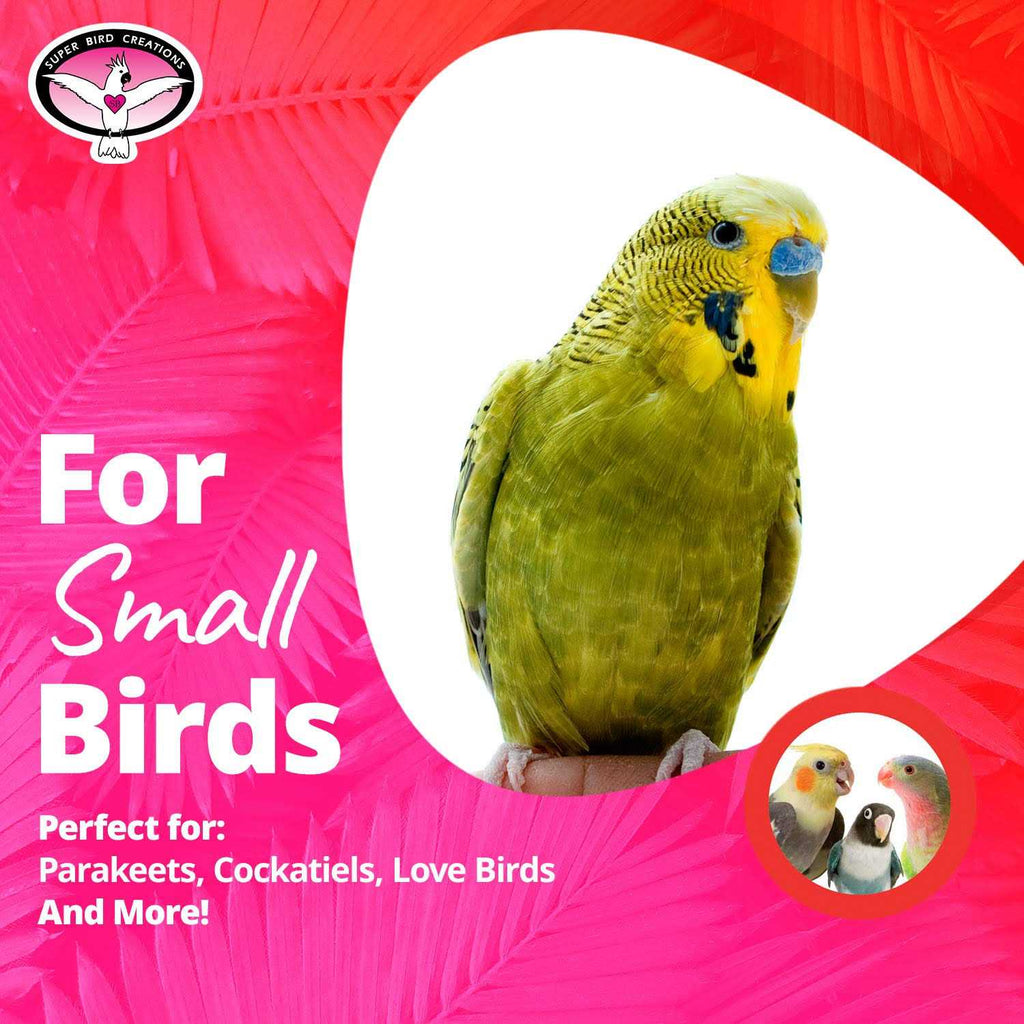 Mini Flying Trapeze Bird Toy A55688