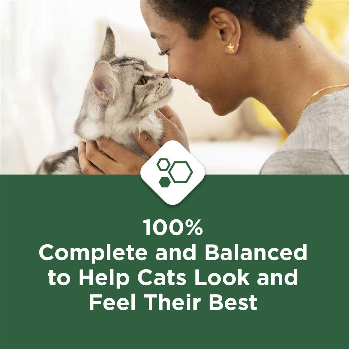 Indoor Dry Cat Food J67160