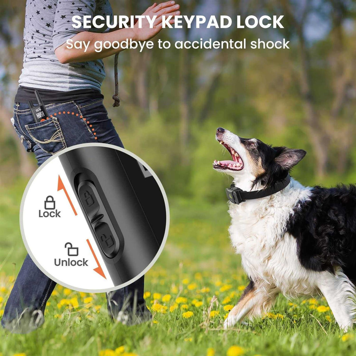 Dog Training Collar with Beep Vibration D362