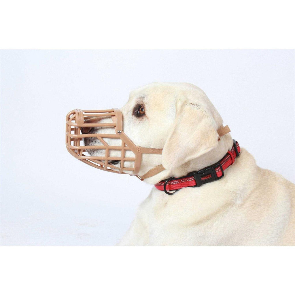 Muzzle P95605