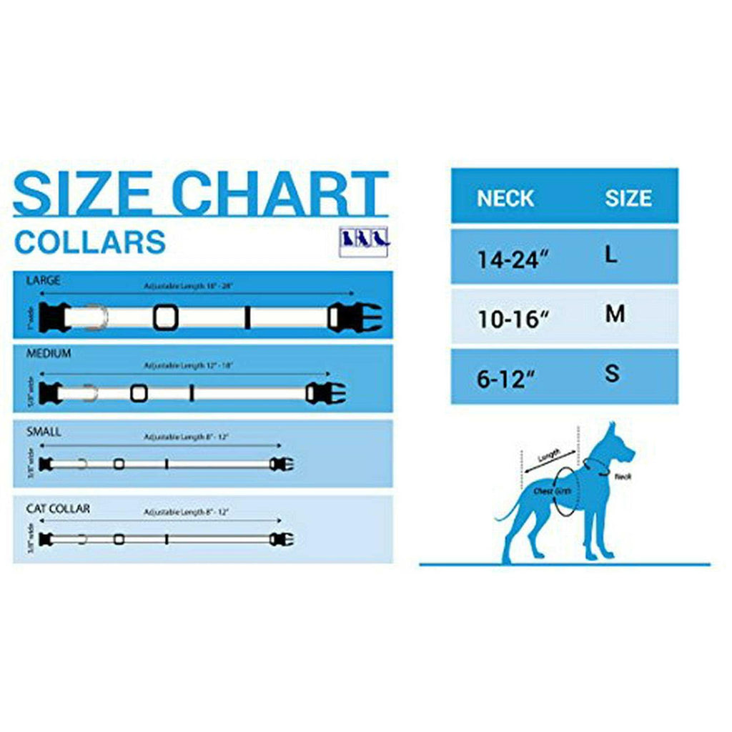 Pet Collar N2998