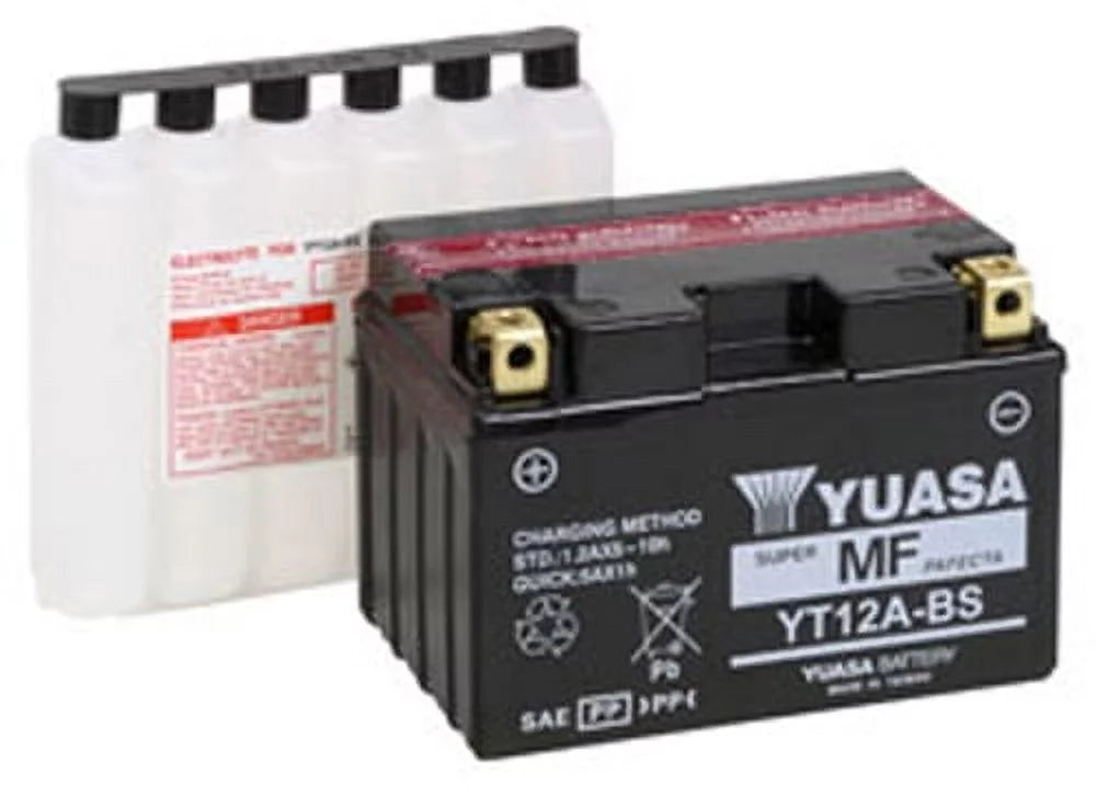 Maintenance Free 12 Volt Battery H48824