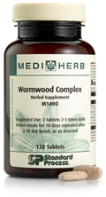 Wormwood Complex 120 Tablets Z8985