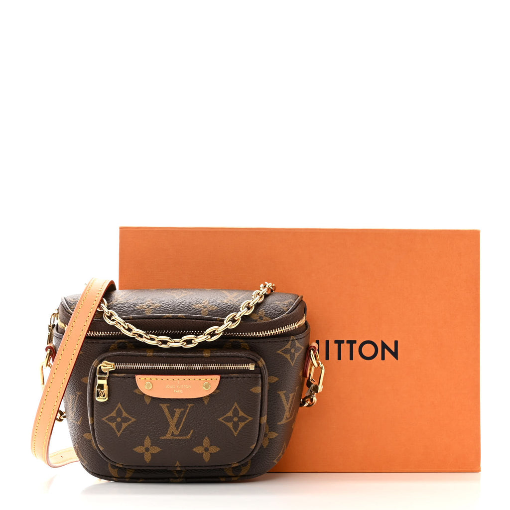 Mini Bumbag M61257