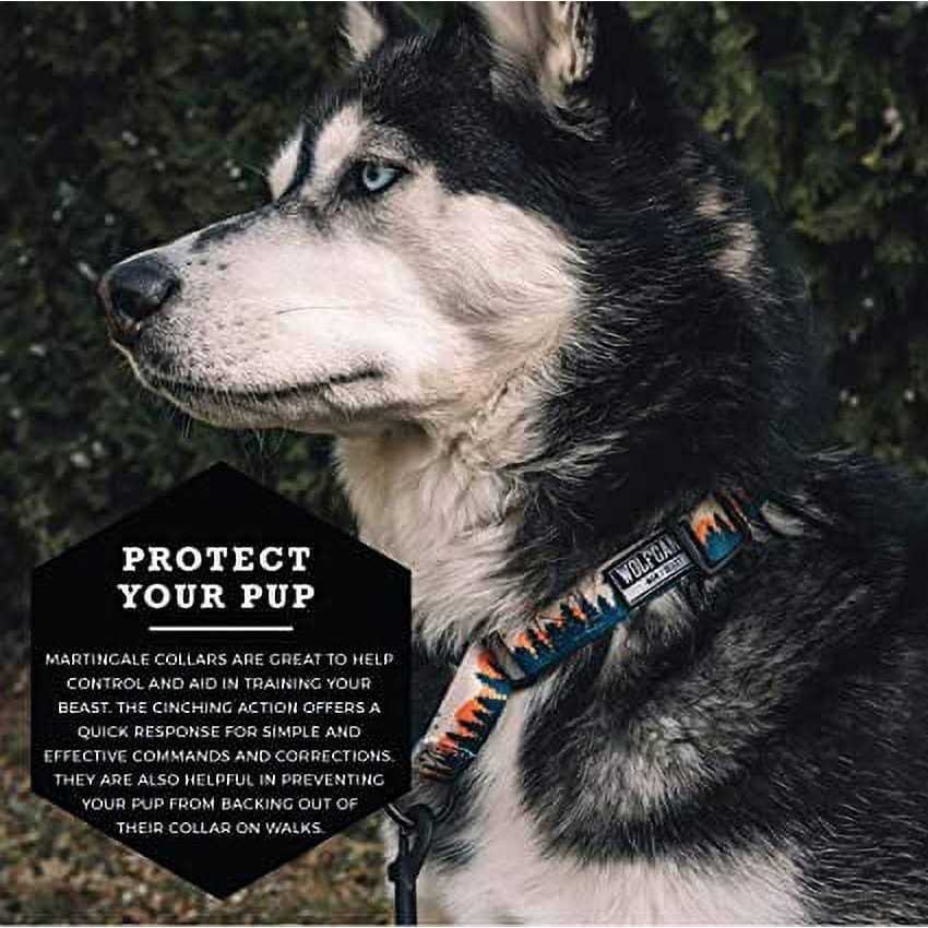 Martingale Dog Collar Z70911