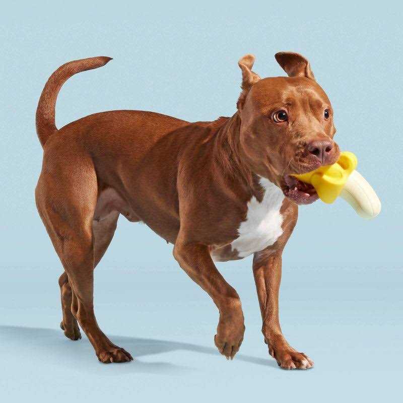 Super Chewer Dog Toy X916