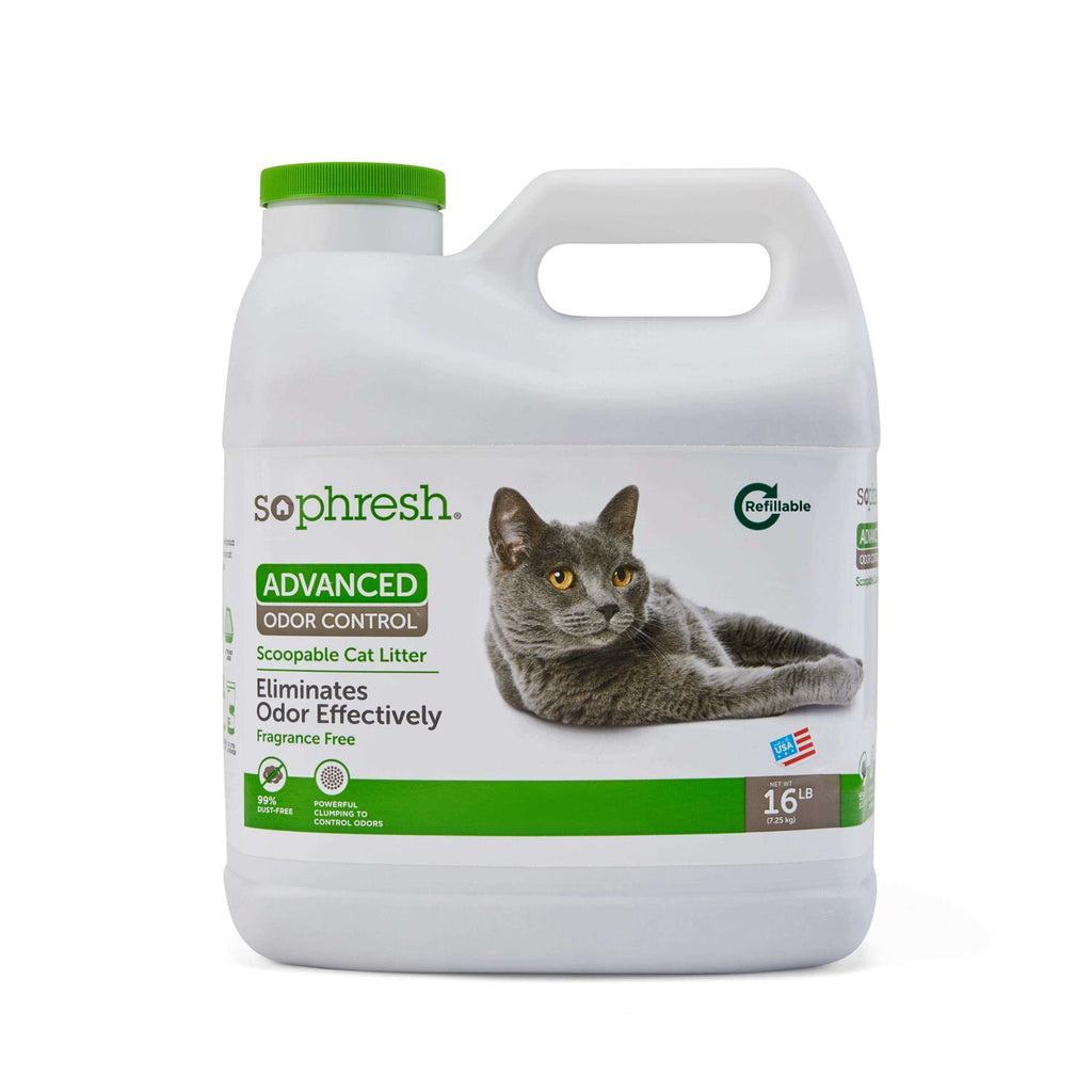 Fragrance Free Scoopable Cat Litter B8335