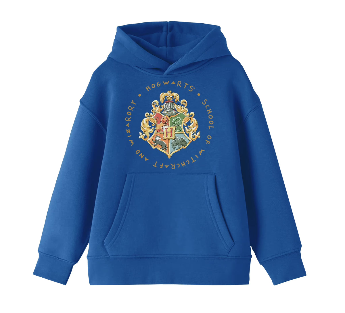 Royal Blue Sweatshirt I1945