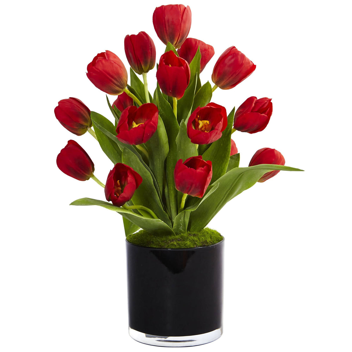 Tulips in Black Glossy Cylinder V3539
