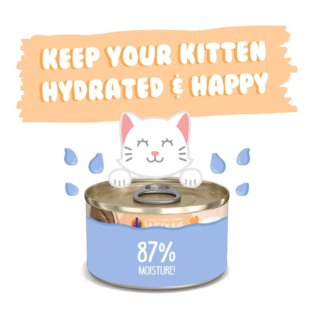 Kitten Tuna & Salmon Puree Cat Food O4442