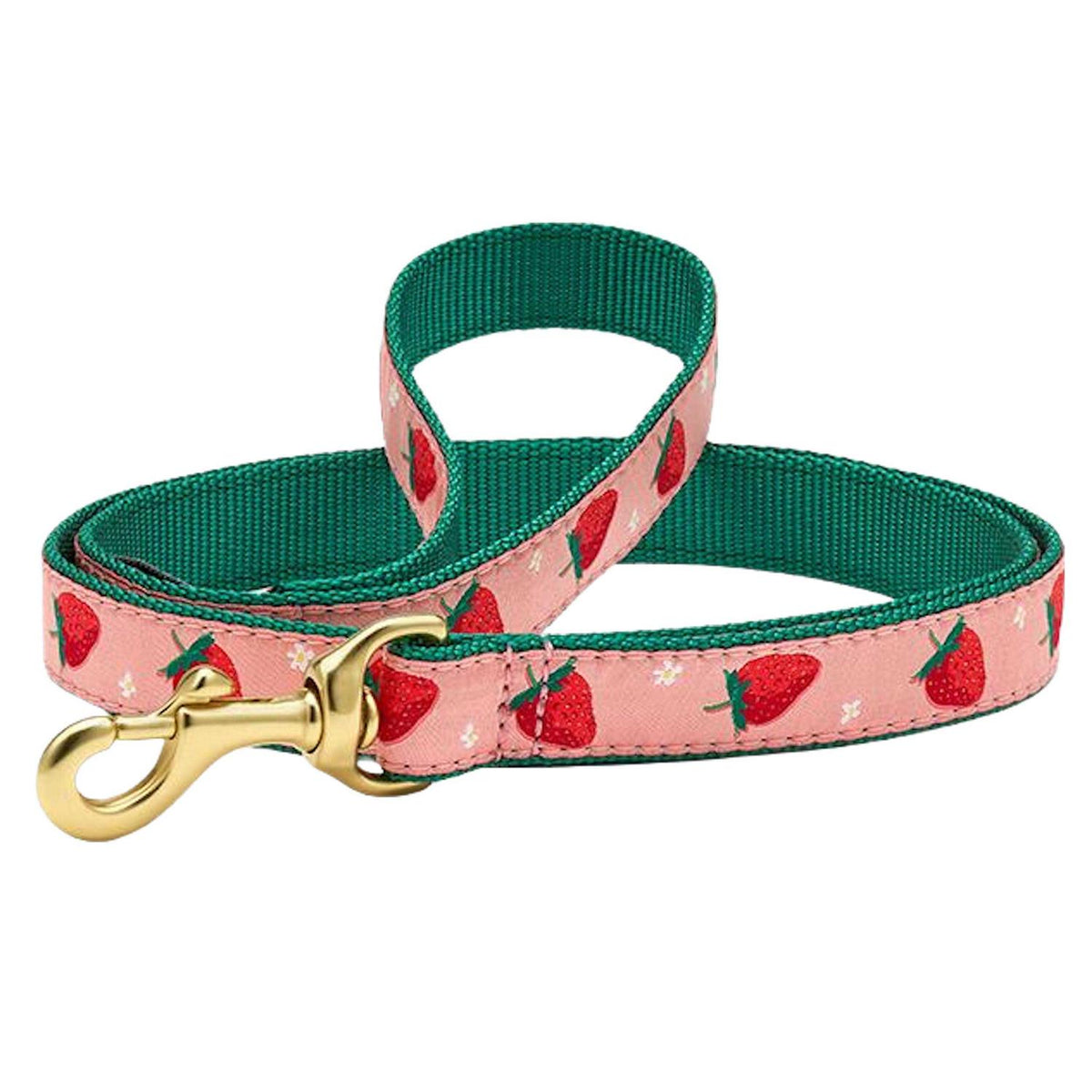 Strawberry Fields Dog Collar F8634
