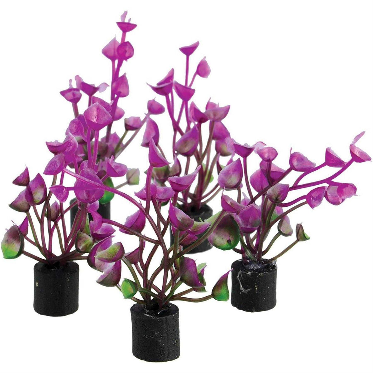 Mini Plant J80742