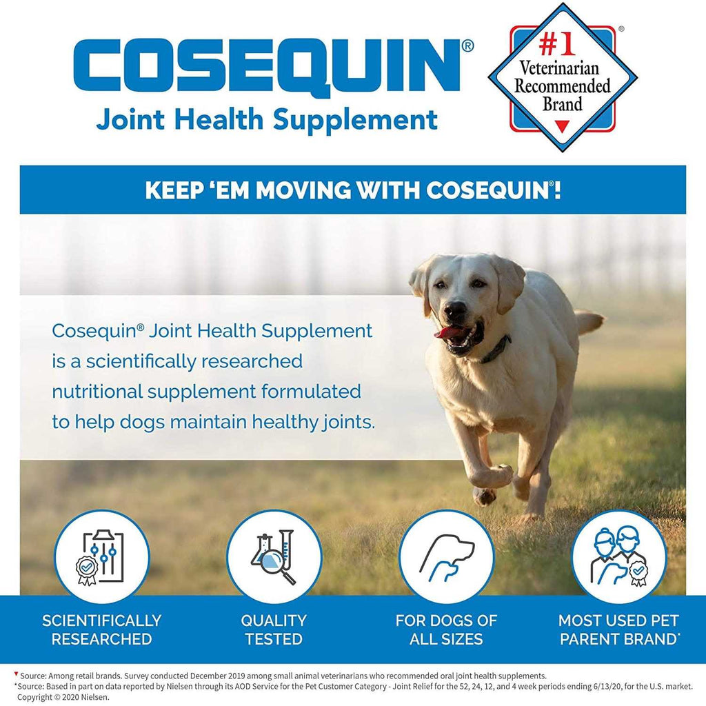 Chewable Tablets for Dogs L6464