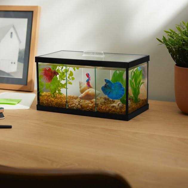 Betta Aquarium with Divider X888550