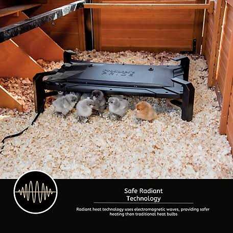 Chicken Coop Brooder and Heater O350455