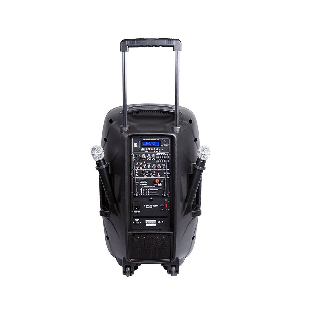 15-inch 2-Way Portable PA Speaker with Built-in Rechargeable Battery, 2 Wireless Mics, Bluetooth, USB, SD Card Reader, LED R914