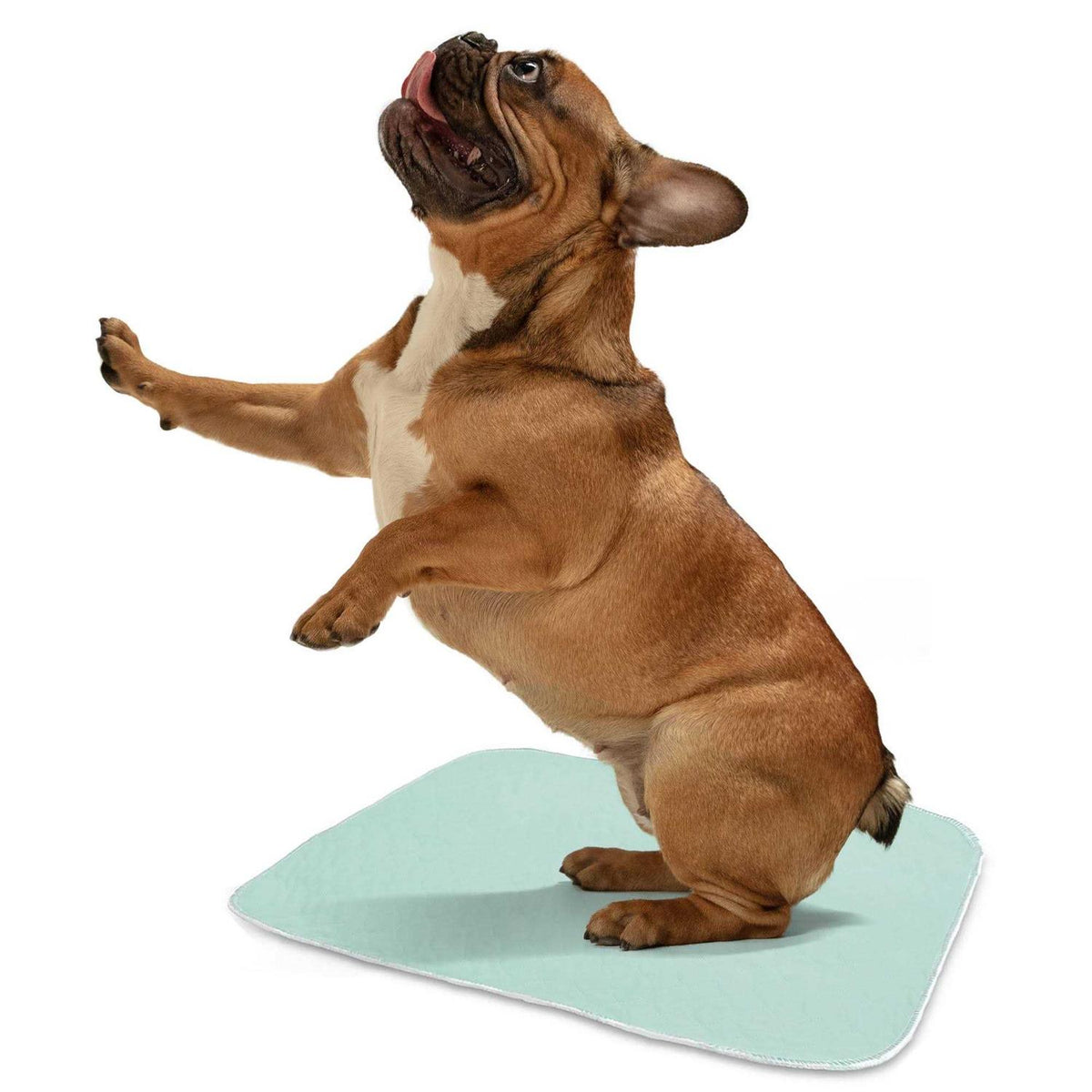 Washable Bed Pads H752