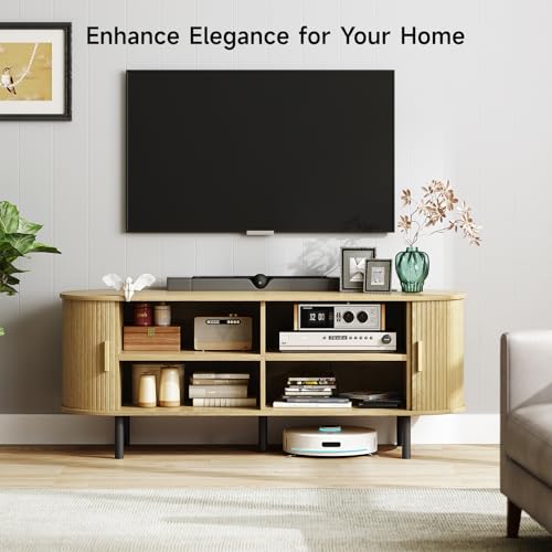 55" TV Stand with Power Outlet and Adjustable Shelves J525767