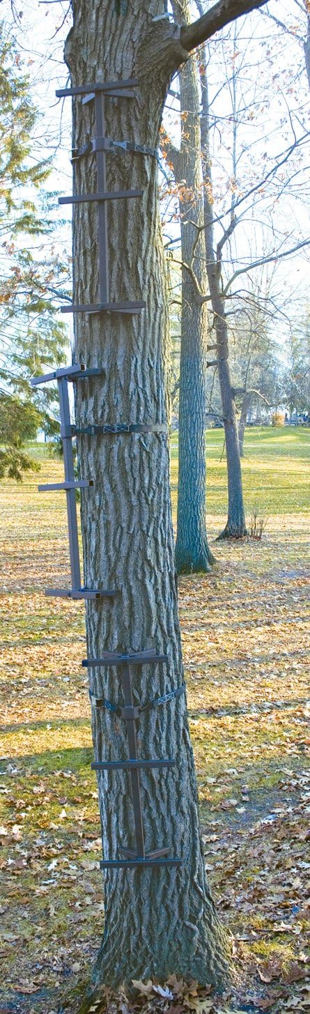 3 Pack Quick Tree Climbing Sticks Ladder Steps C306664