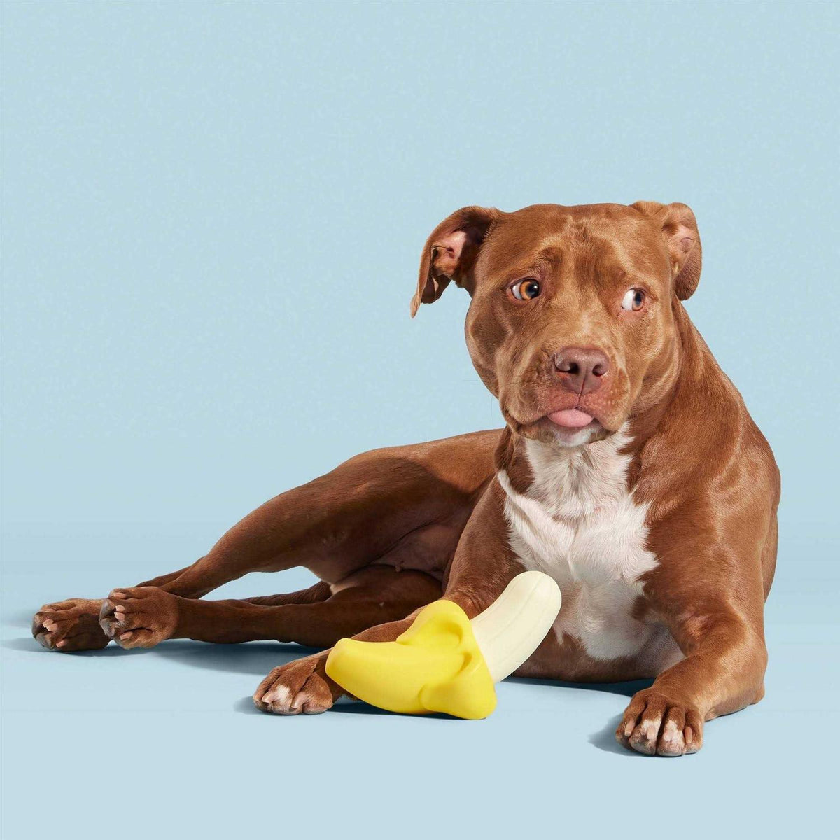 Super Chewer Dog Toy X916
