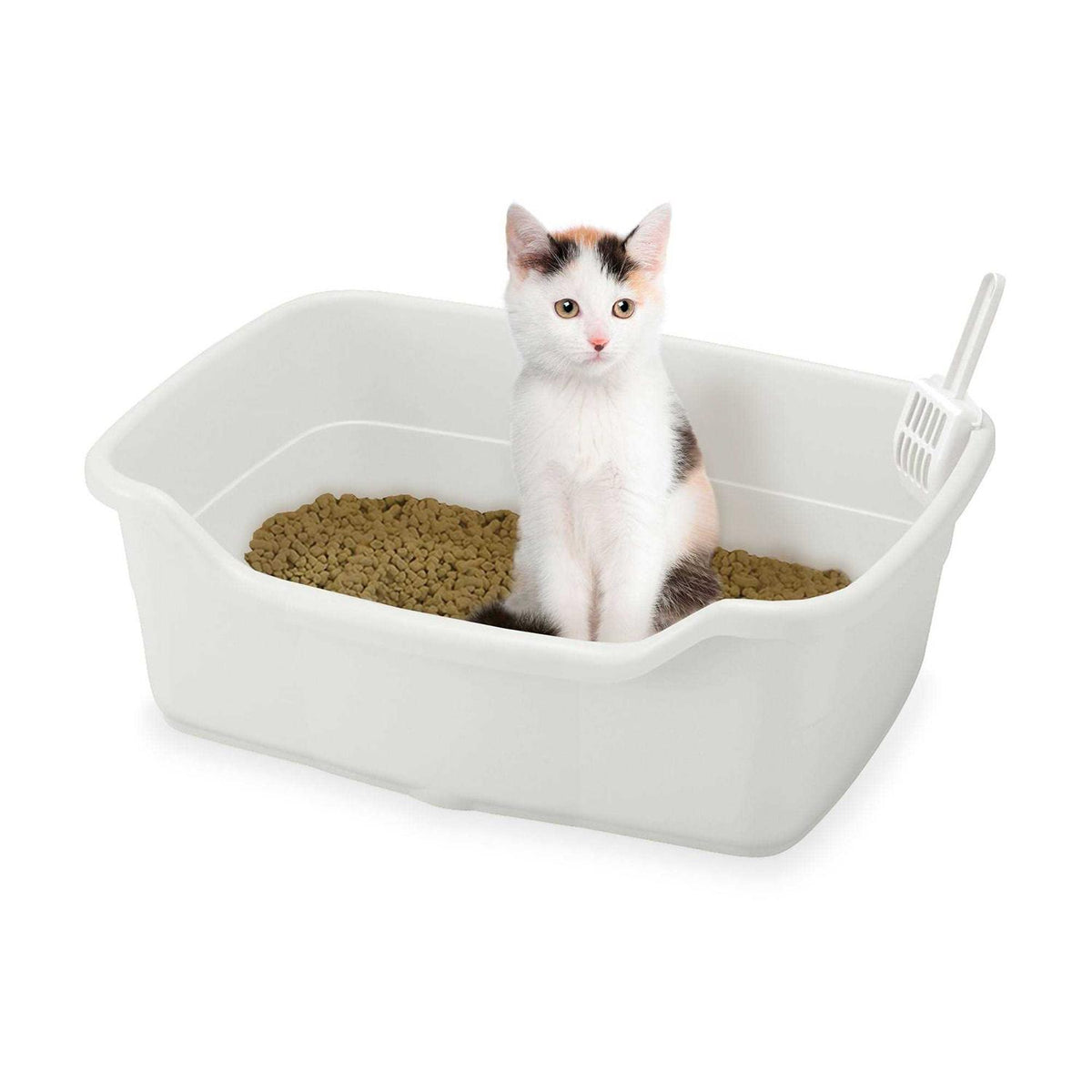 Wide Cat Litter Pan L125