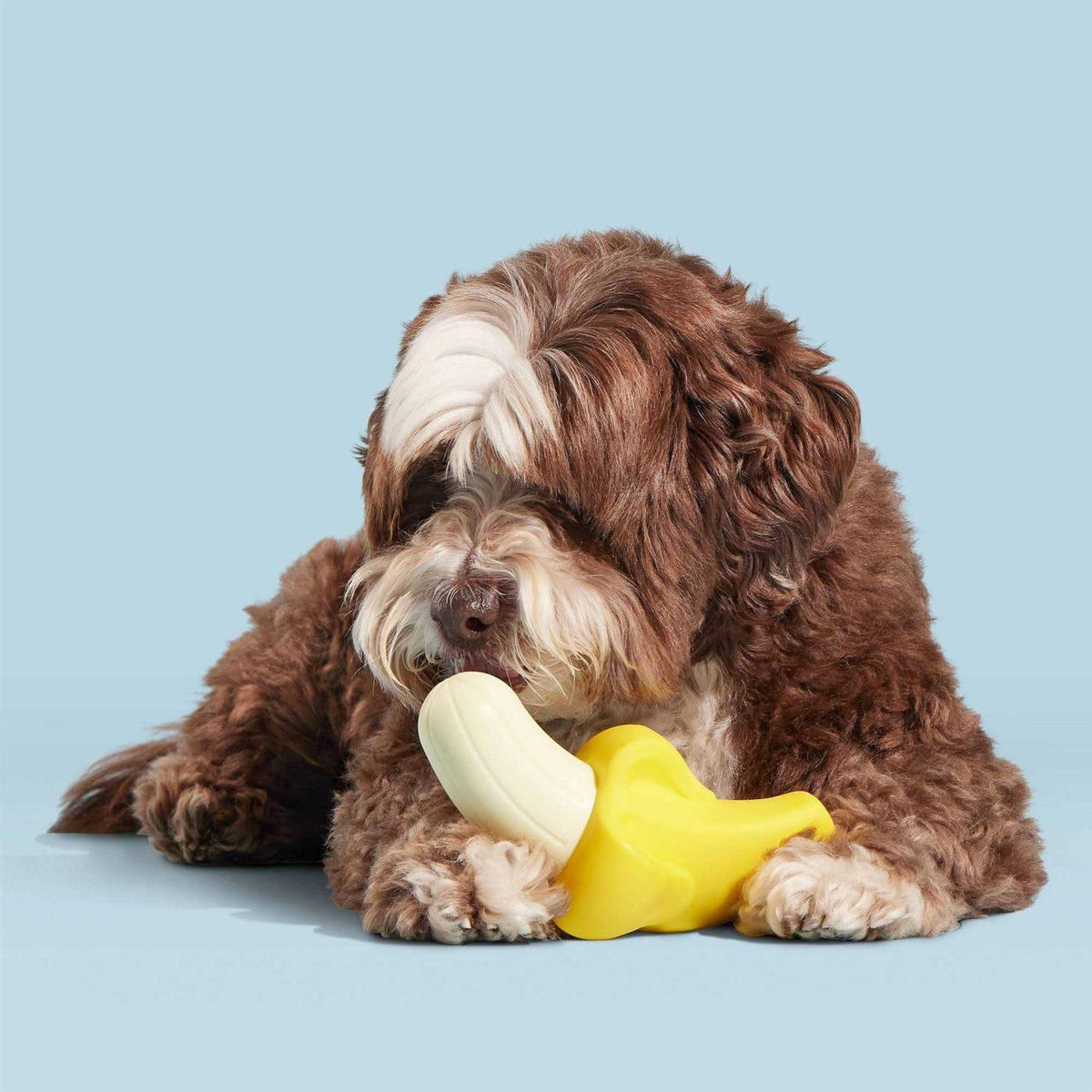 Super Chewer Dog Toy X916