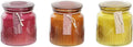 10X10X11 300 GR with Lid 3 Assorted I761