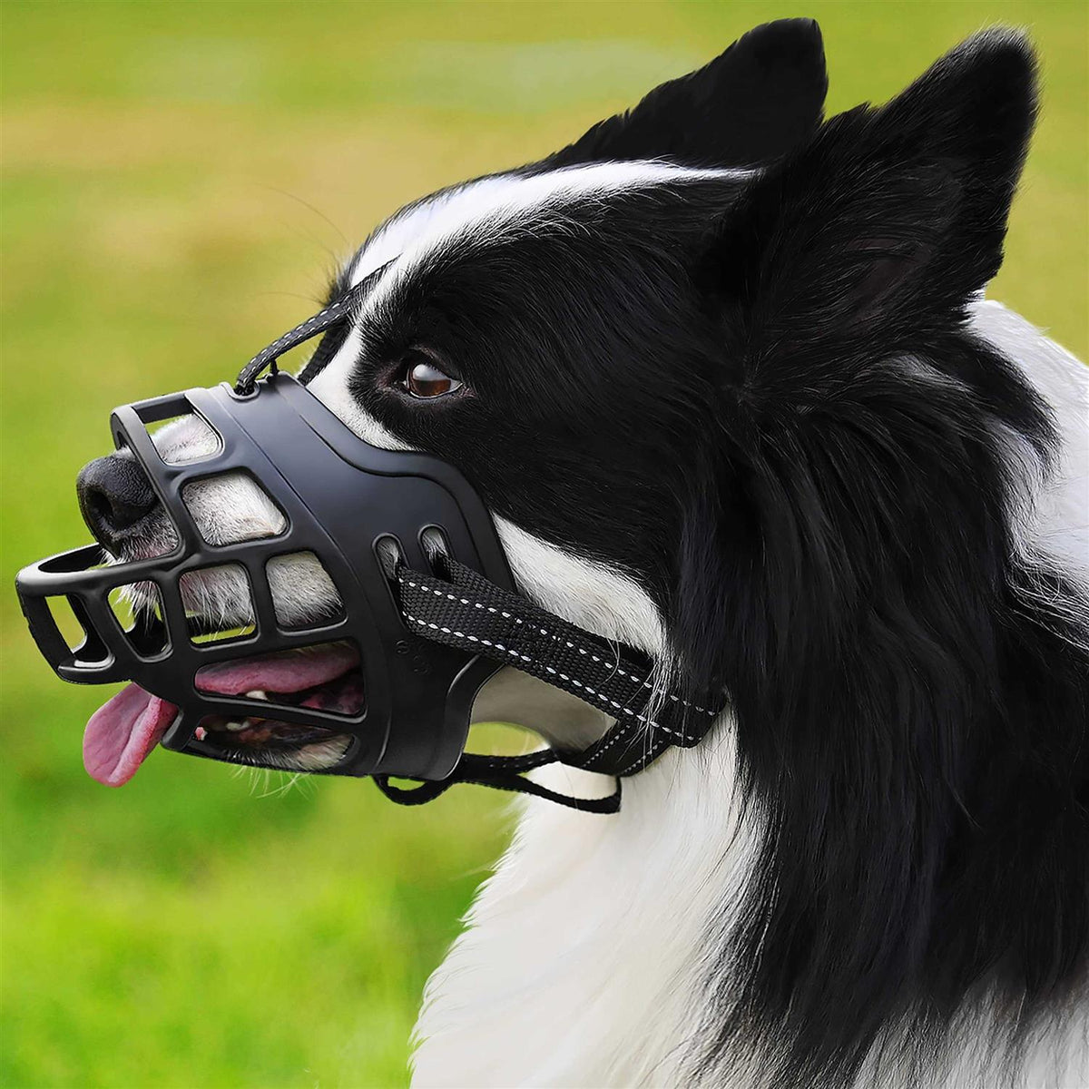 Dog Muzzle, Anti Biting and Stop Chewing X41942