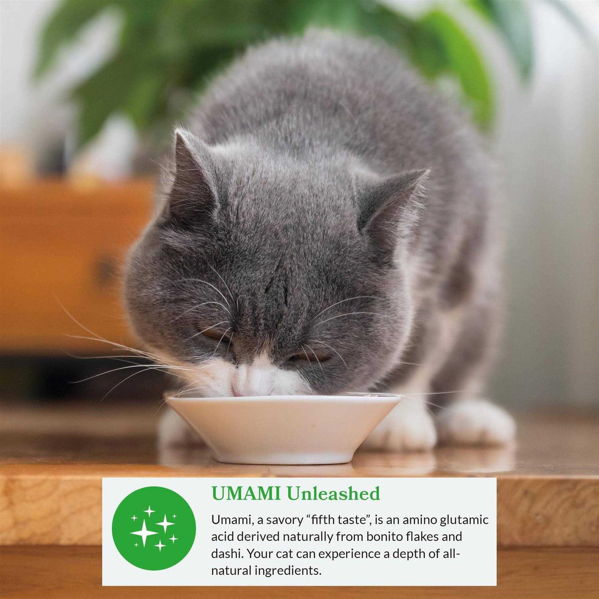 Bits in Broth Cat Food Topping X745