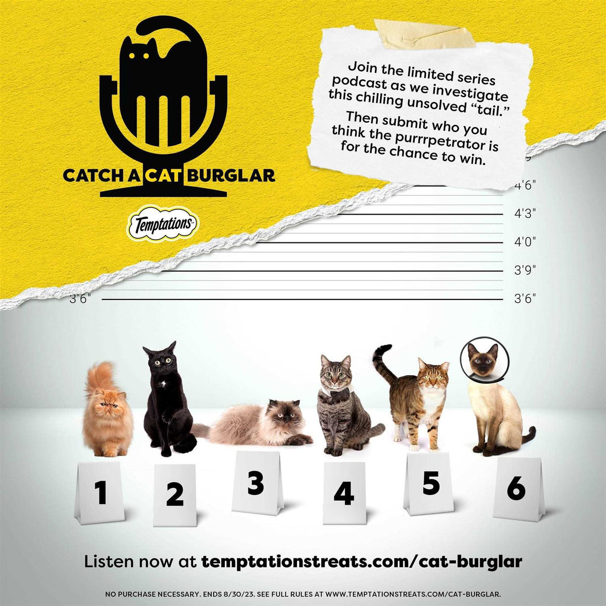 Treat Dispensing Cat Toy Q788