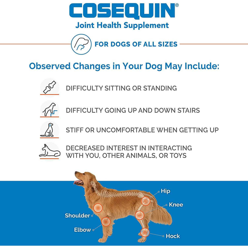 Chewable Tablets for Dogs L6464