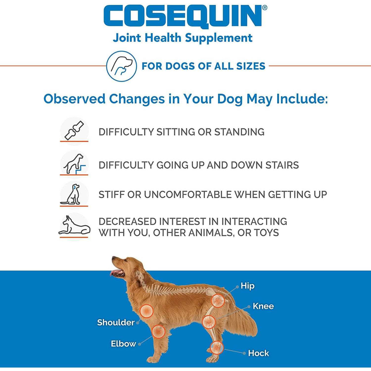 Chewable Tablets for Dogs L6464