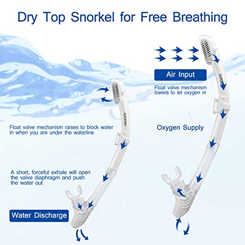 Anti-Fog Tempered Glass Snorkel Mask Set F475