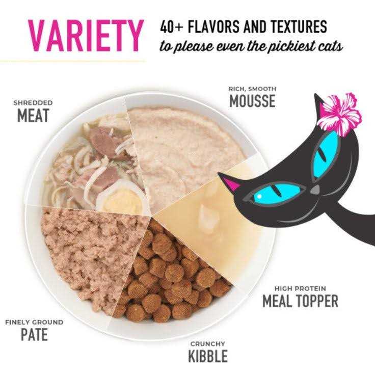 Salmon Wet Food O307